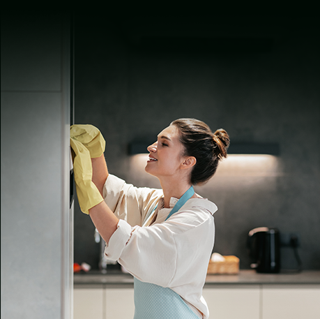 Professional Cleaning Service